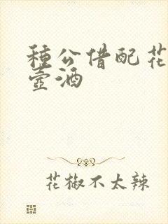 种公借配花间一壶酒