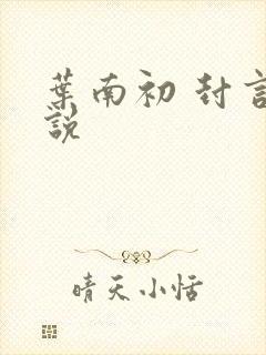 叶南初 封言小说