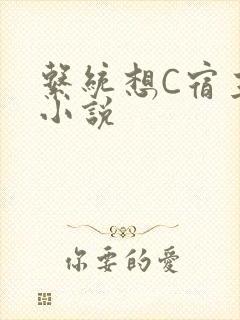 系统想C宿主的小说