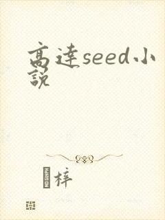 高达seed小说