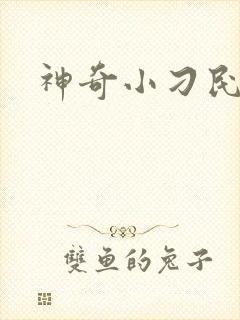 神奇小刁民