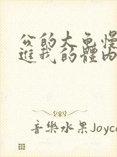 公的大龟慢慢挺进我的体内视频