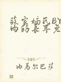 苏家嫡氏BY吃肉的长耳兔