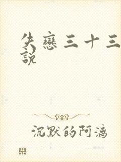 失恋三十三天小说