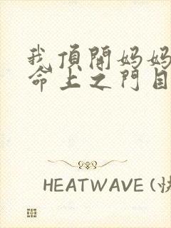 我顶开妈妈的生命上之门目录