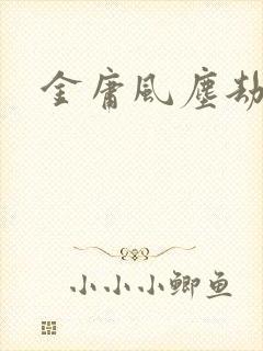 金庸风尘劫