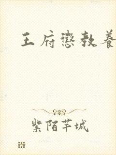 王府惩教养日常