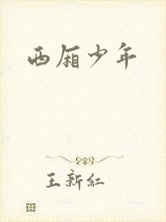 西厢少年