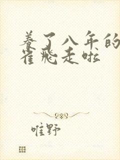 养了八年的金丝雀飞走啦