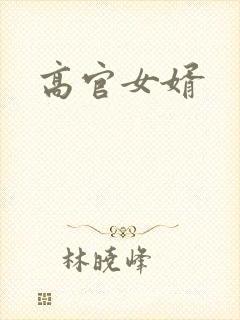 高官女婿