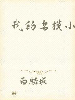 我的名模小娇妻