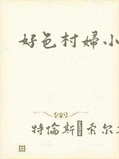 好色村妇小银贼