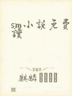 sm小说免费阅读