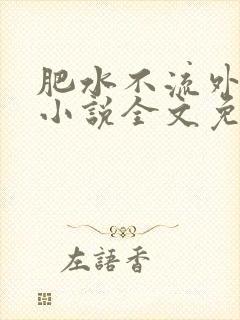 肥水不流外人田小说全文免费阅读1