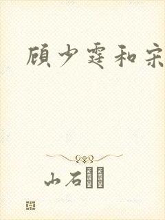 顾少霆和宋斯曼