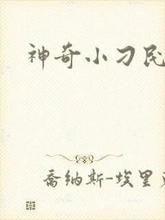 神奇小刁民