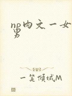 np肉文一女多男