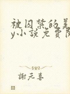 被囚禁的美人by小说免费阅读