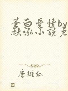 苍白爱情by三秋泓小说免费阅读笔趣阁