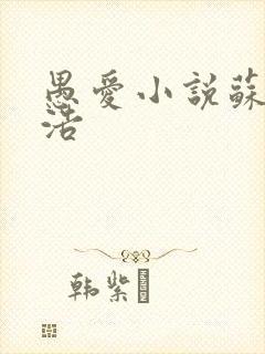 愚爱小说苏倩孙浩