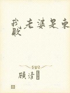 我老婆是东方不败