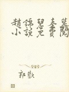 赵锦儿秦慕修的小说免费阅读全文