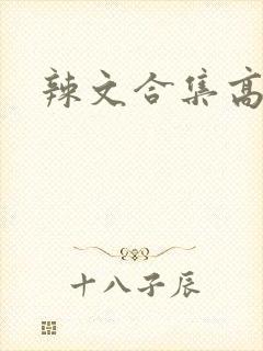 辣文合集高h