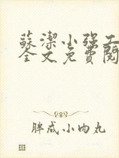 苏洁小强工地情全文免费阅读