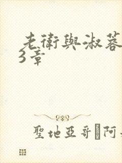 老卫与淑蓉第13章