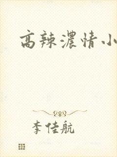 高辣浓情小说