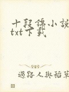十段锦小说全本txt下载