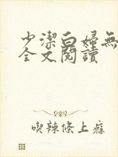 少洁白妇无删减全文阅读