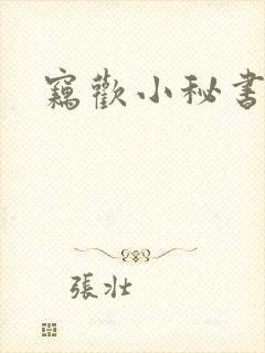 窃欢小秘书