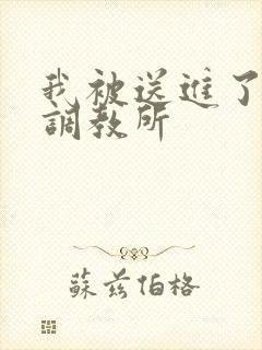 我被送进了私奴调教所