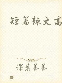 短篇辣文高h