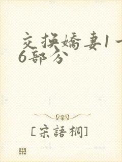 交换娇妻1一36部分