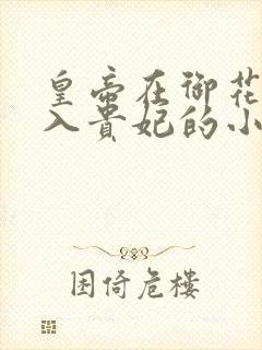 皇帝在御花园进入贵妃的小说