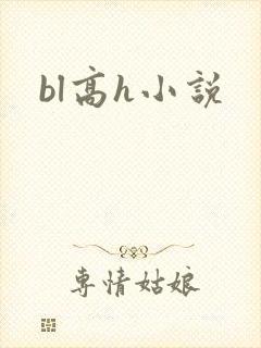 bl高h小说