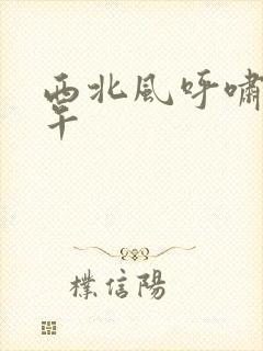 西北风呼啸的中午