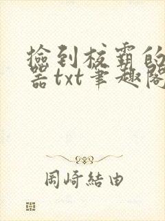 捡到校霸的遥控器txt笔趣阁