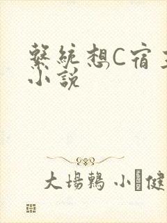 系统想C宿主的小说