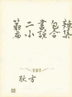 第二书包辣网短篇小说合集