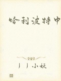 哈利波特中文版