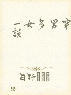 一女多男穿越小说