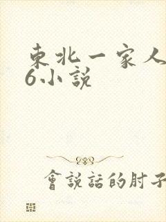 东北一家人1一6小说