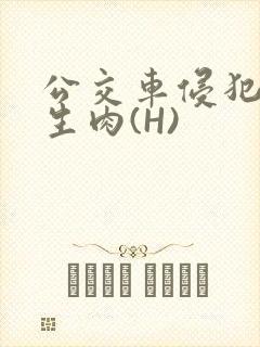 公交车侵犯小男生肉(H)