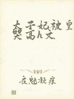 太子妃被皇上c哭高h文