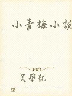 小青梅小说