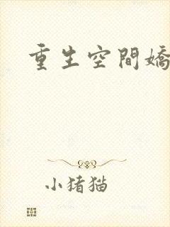 重生空间娇娇媳