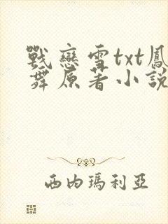 战恋雪txt凤舞原著小说